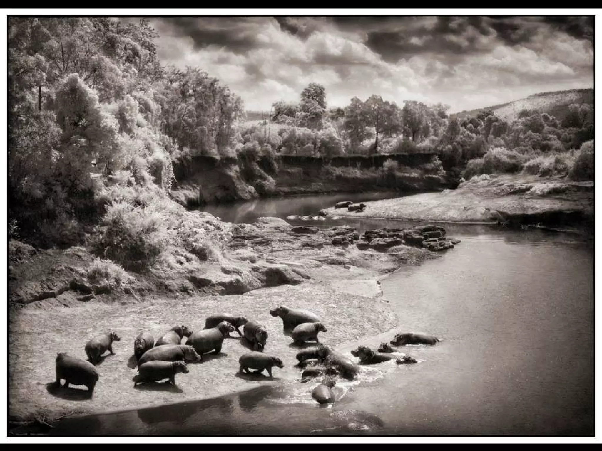 Africa black and-white1