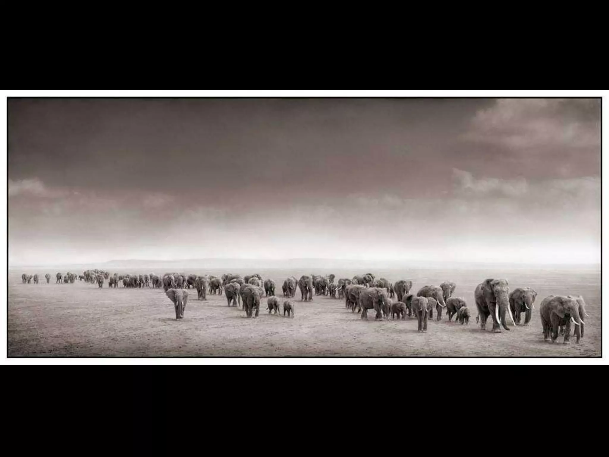 Africa black and-white1-1