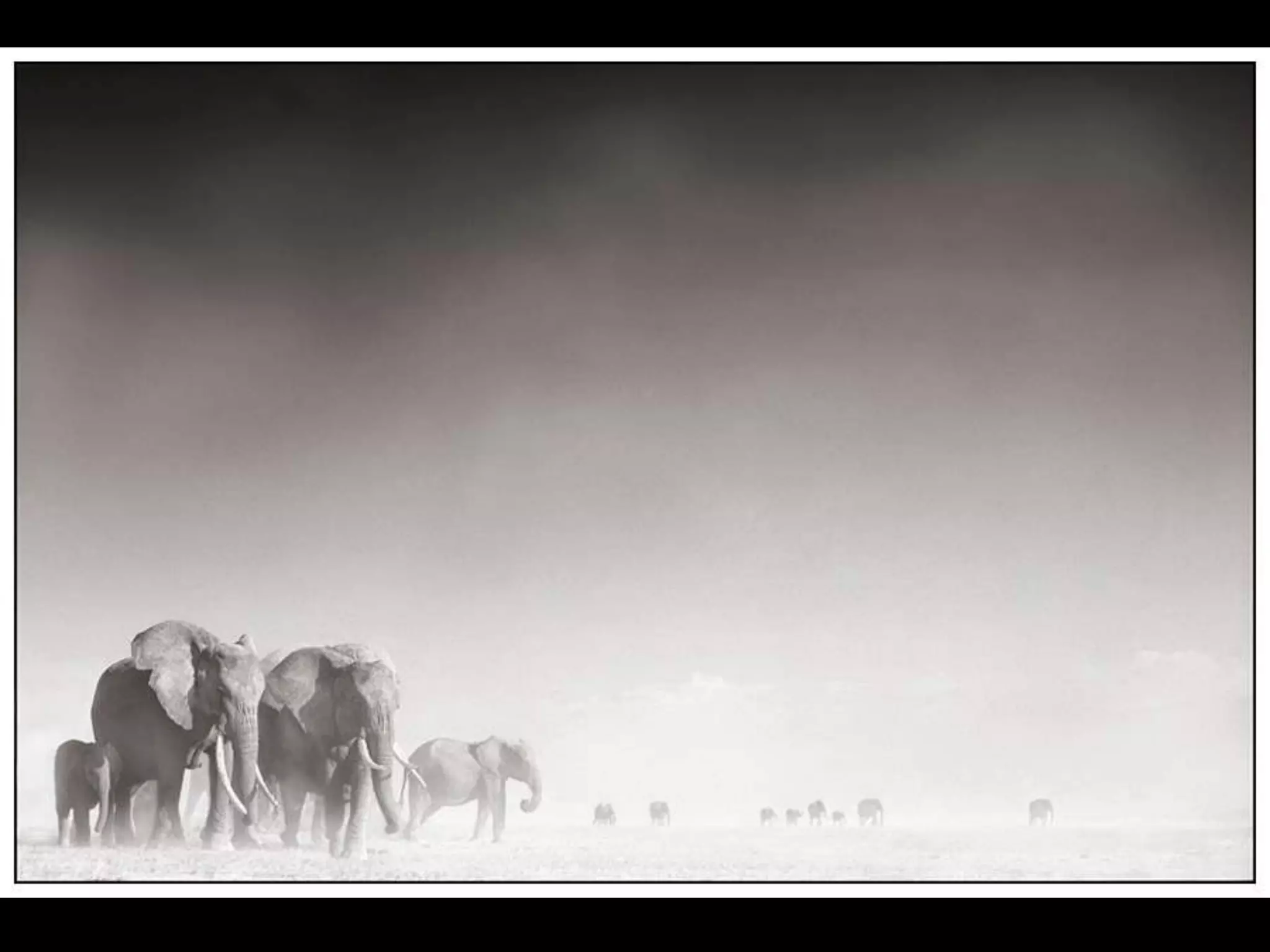 Africa black and-white1-1