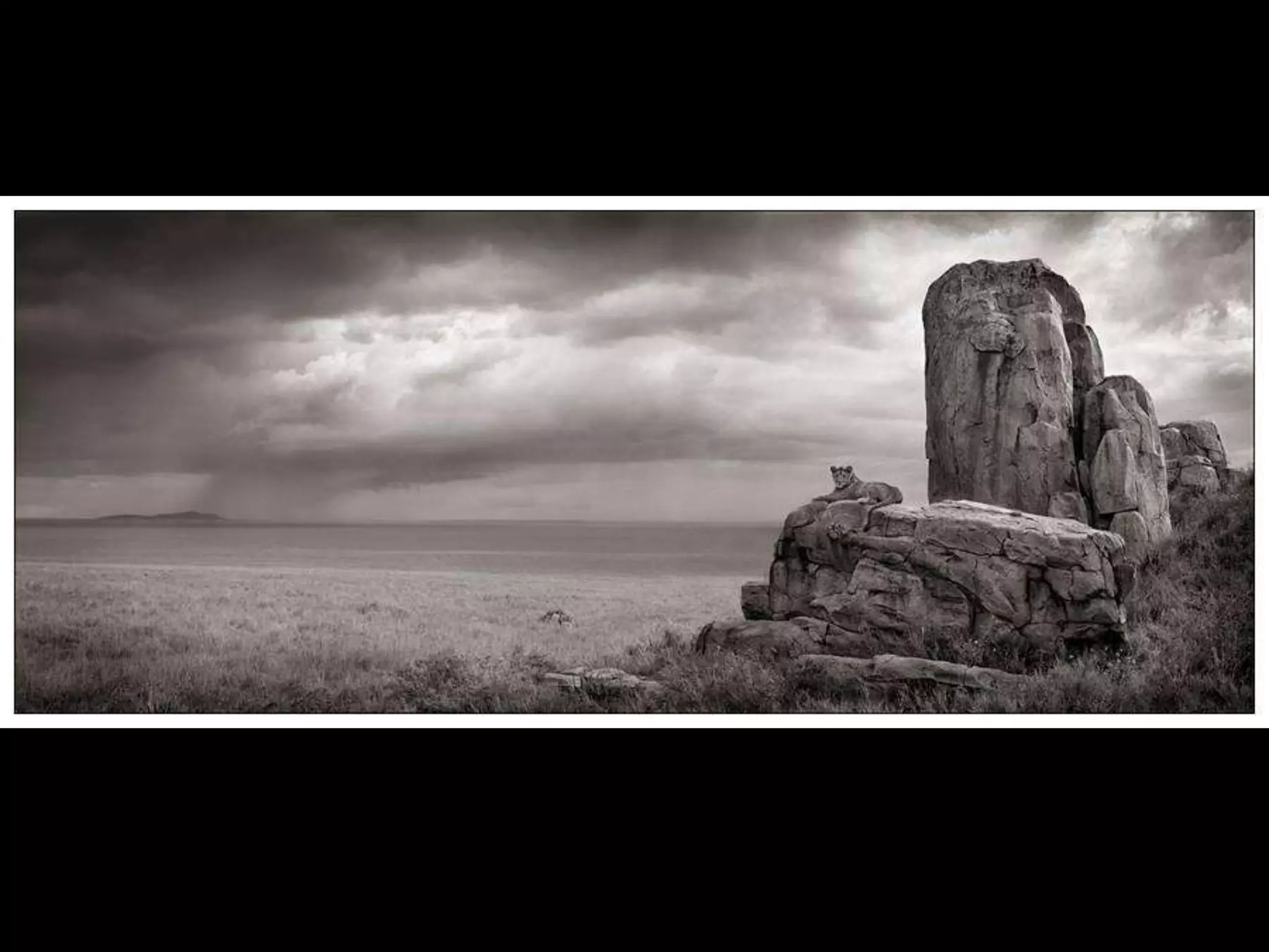 Africa black and-white1-1