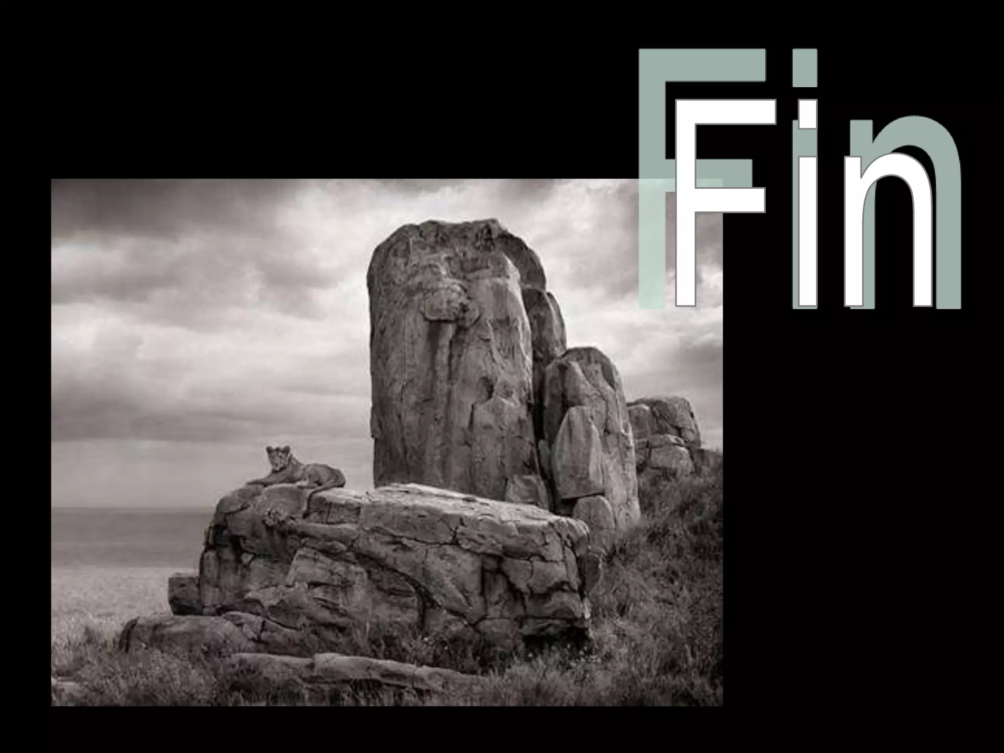 Africa black and-white1-1