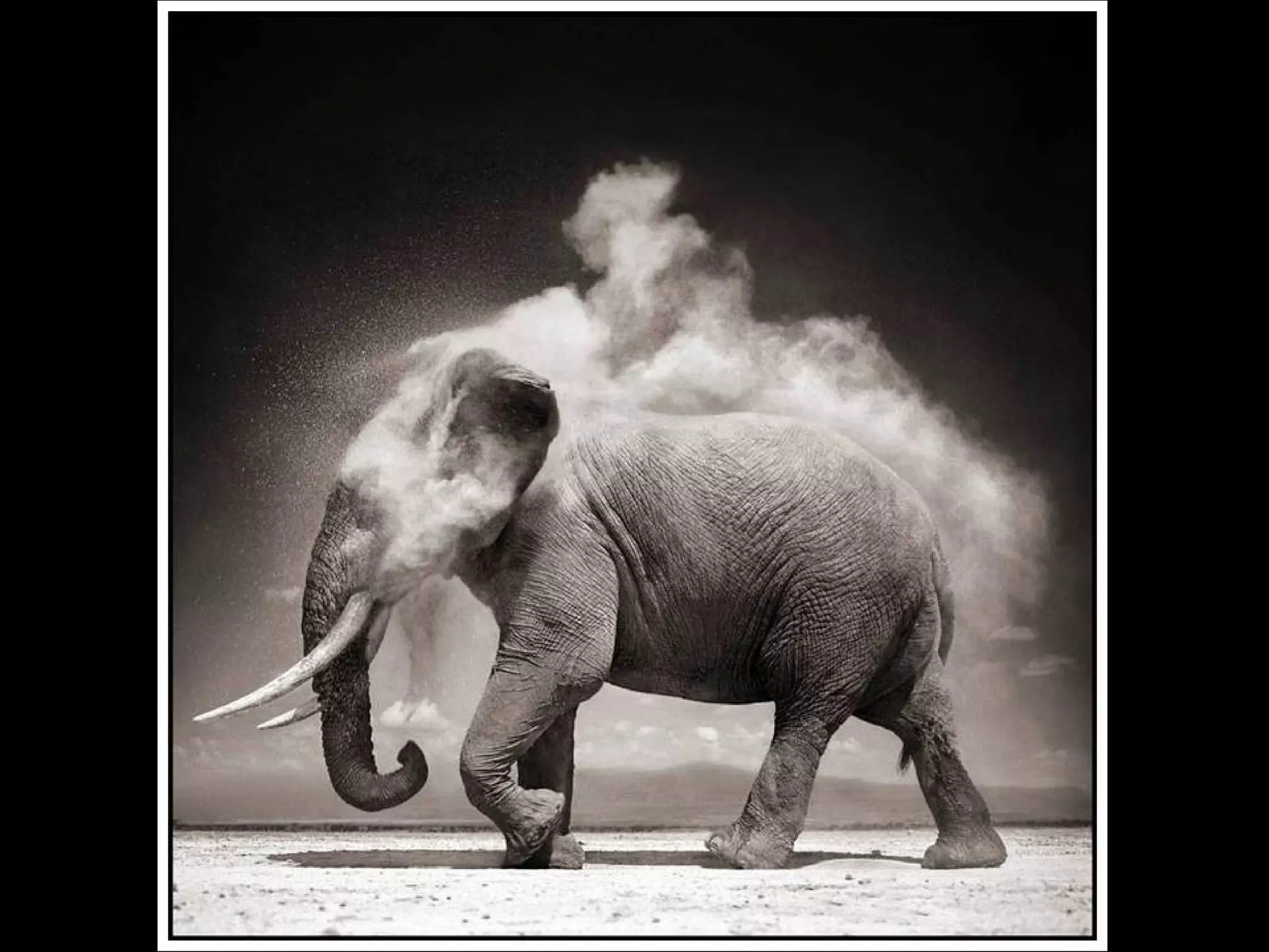 Africa black and-white1-1