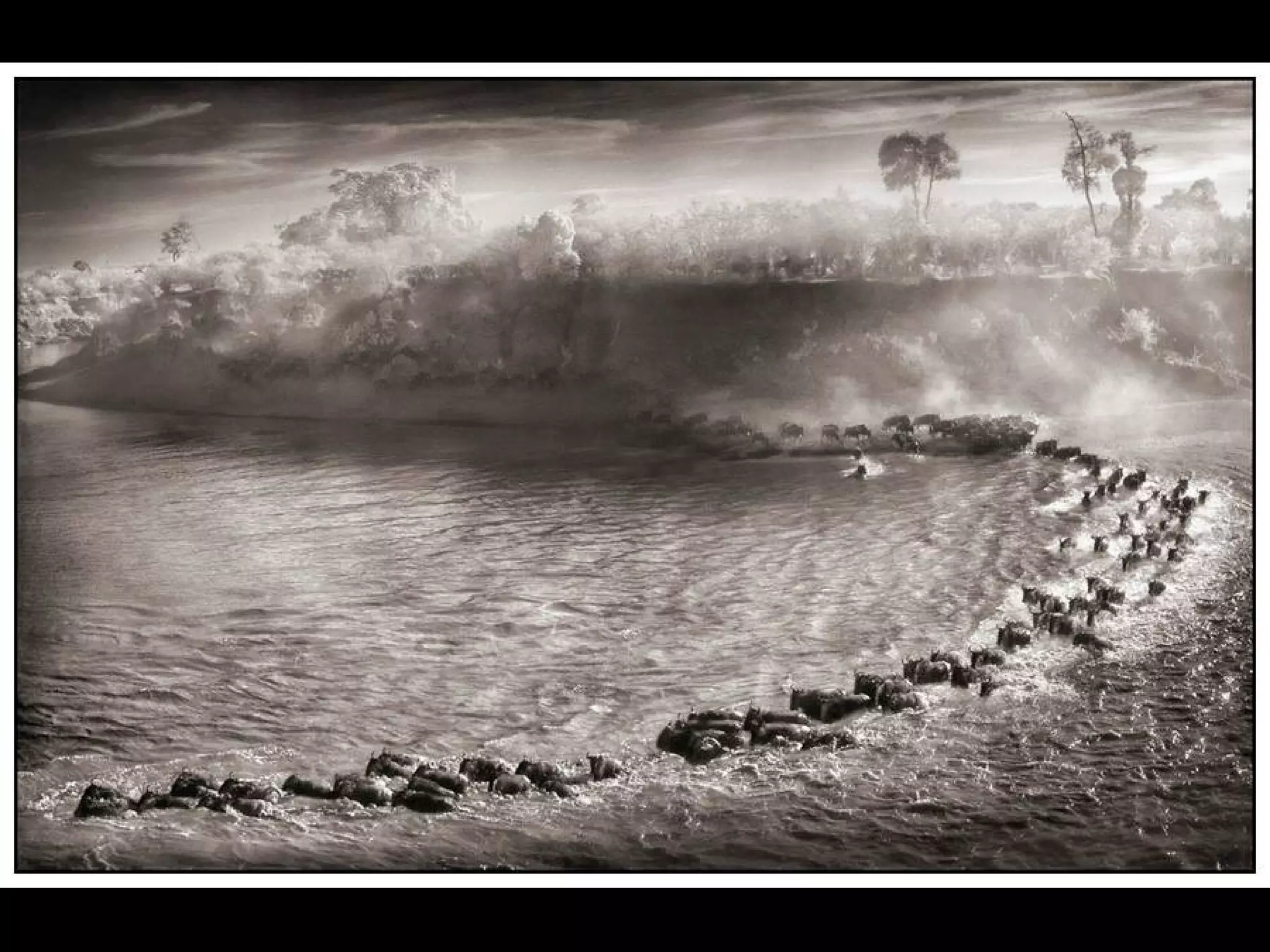 Africa black and-white1-1