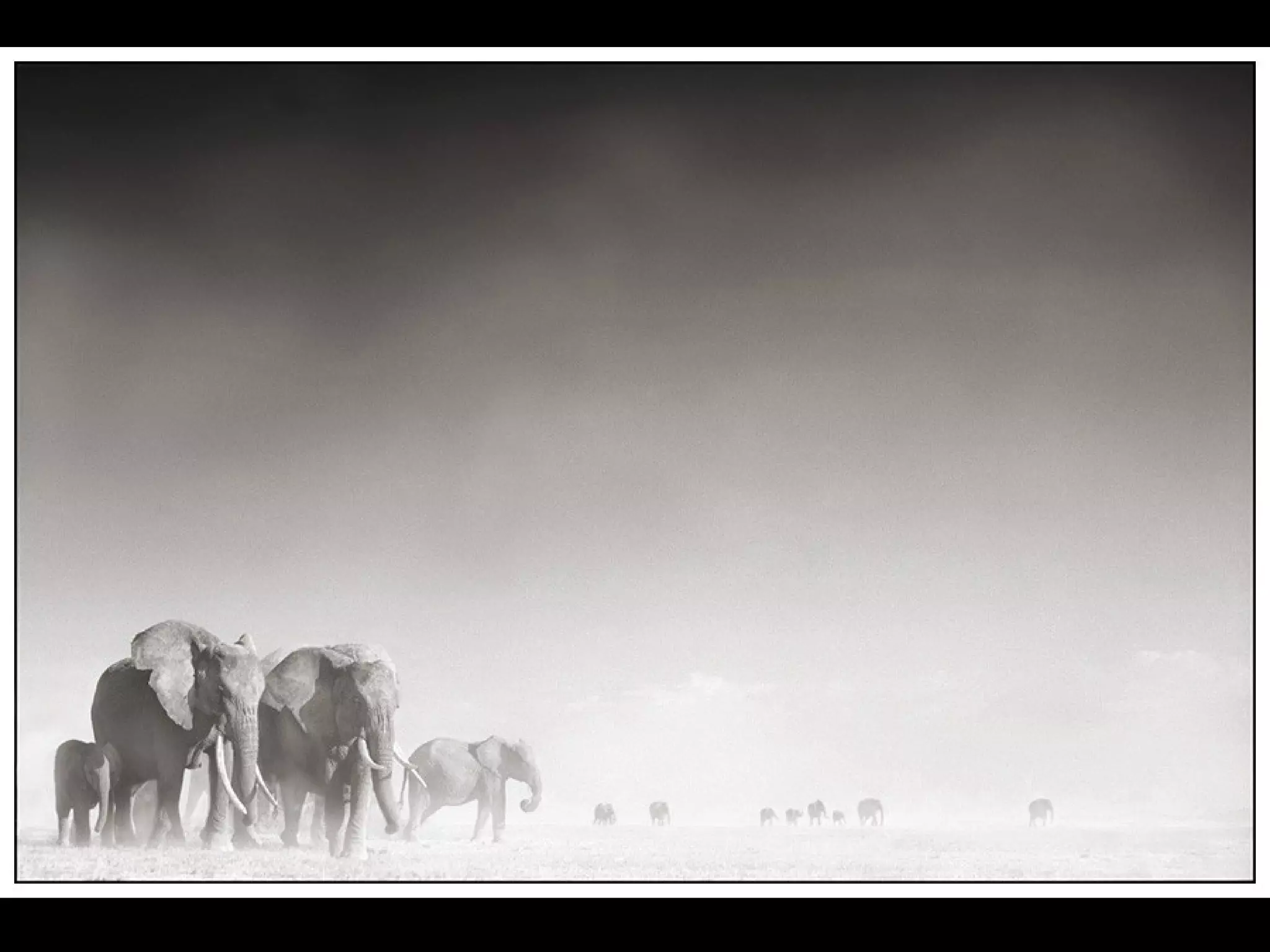 Africa black and-white1-1