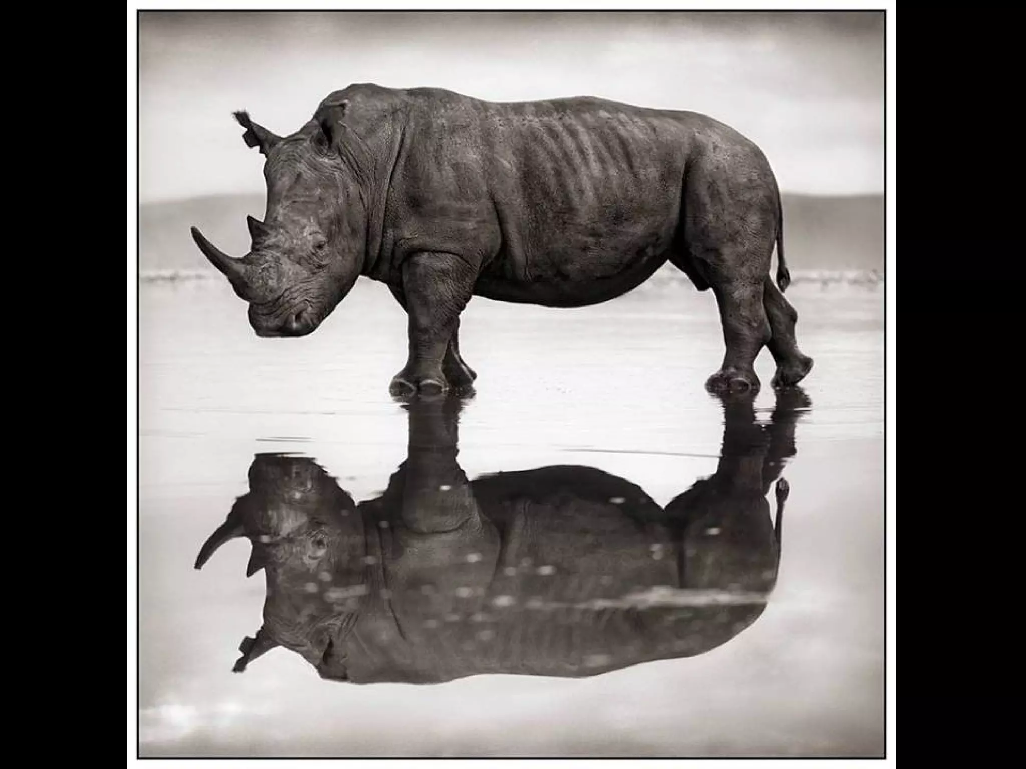 Africa black and-white1-1