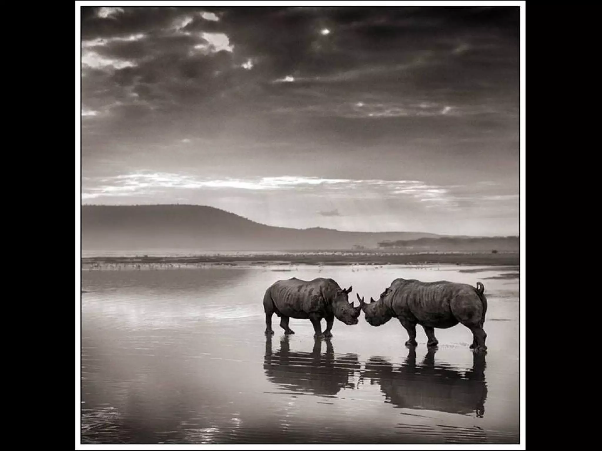 Africa black and-white1-1