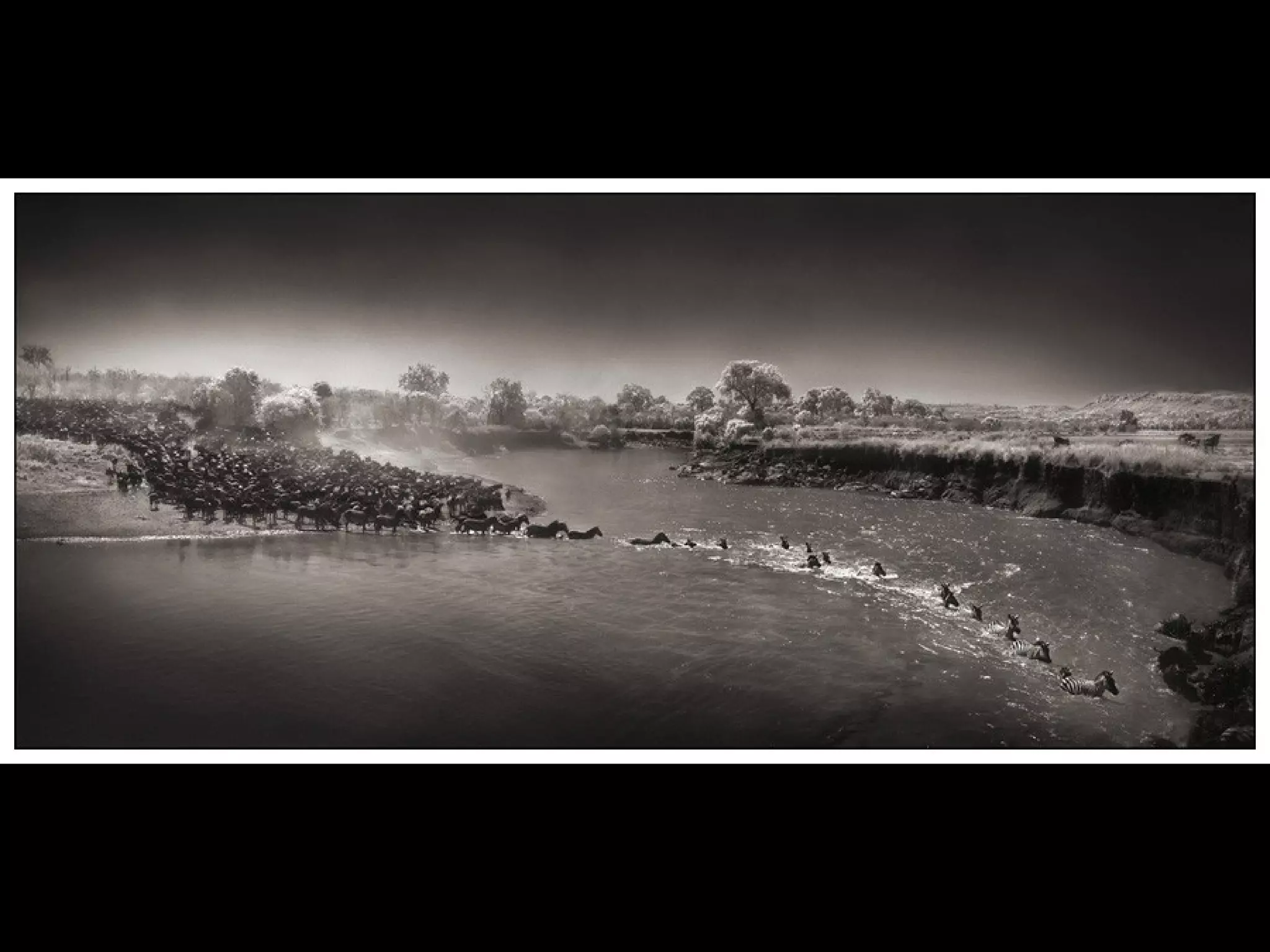 Africa black and-white1-1