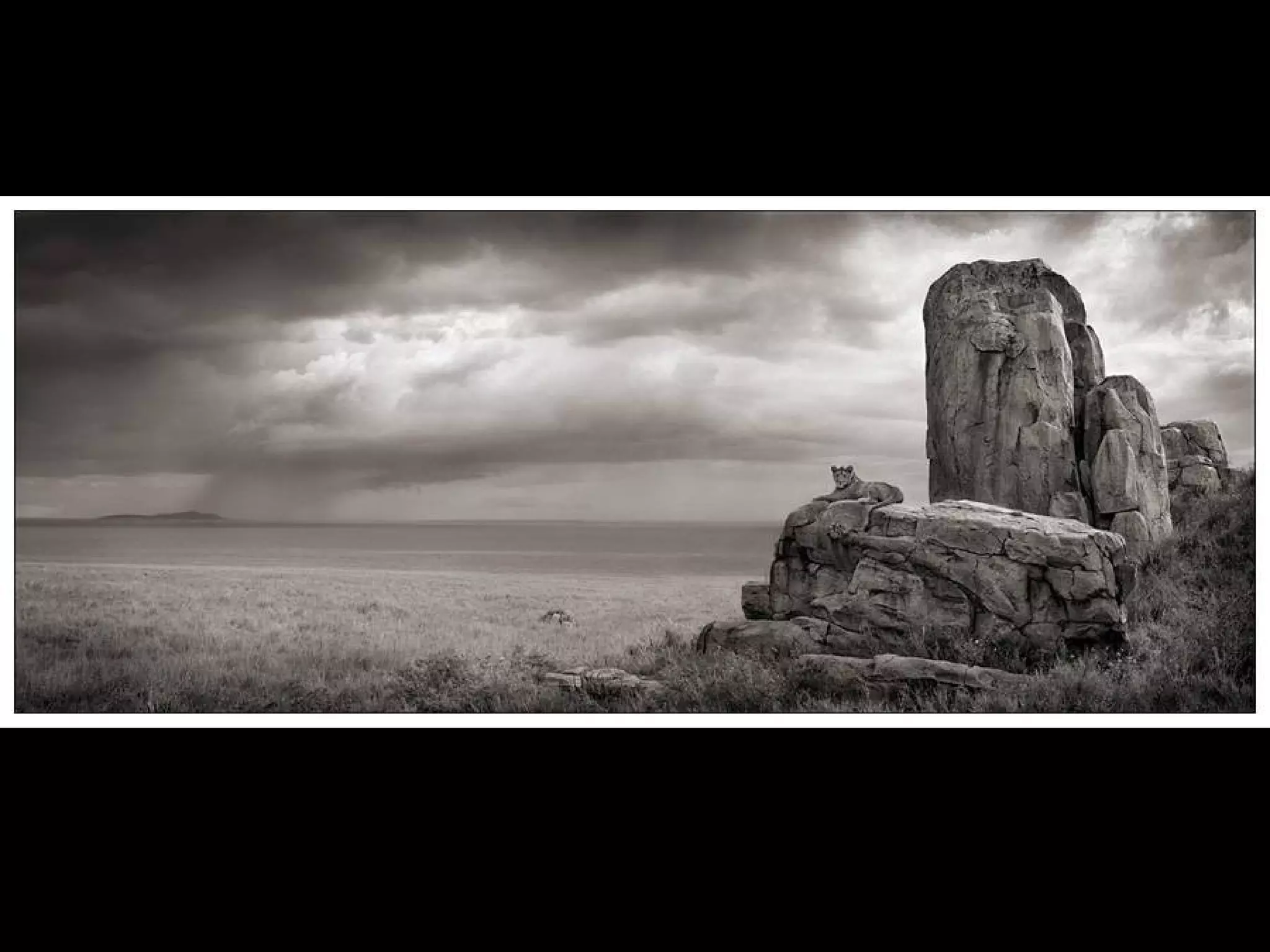 Africa black and-white1-1