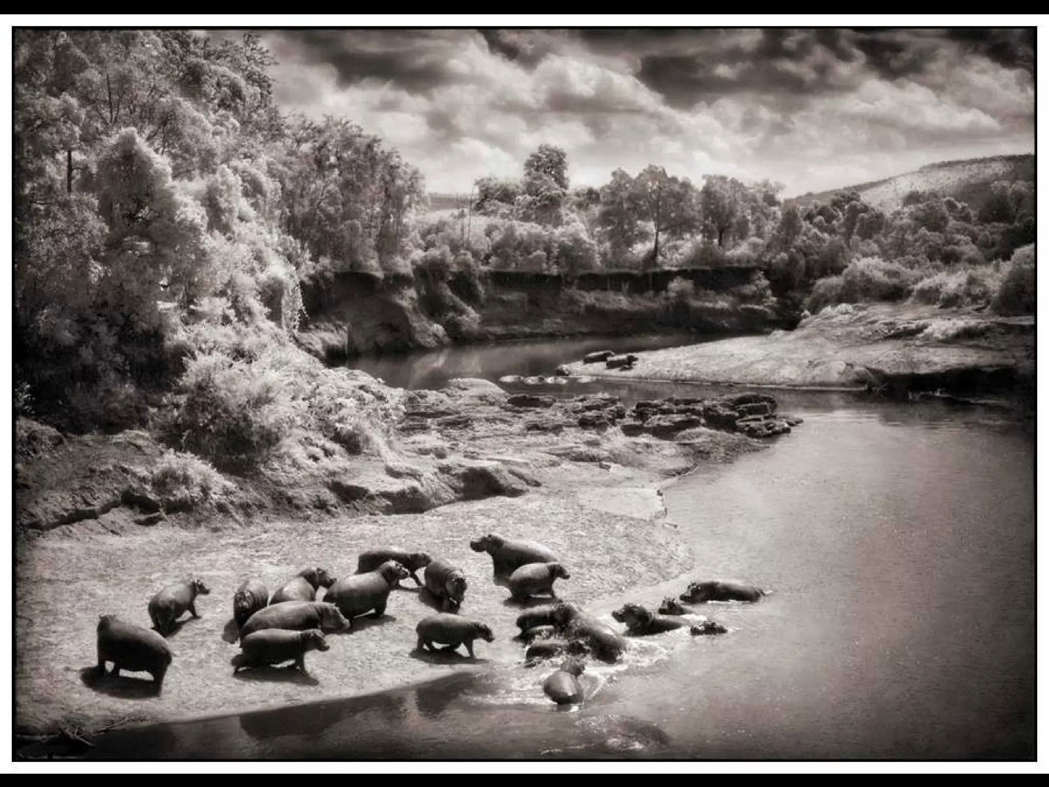 Africa black and-white1-1