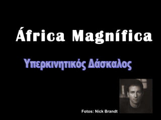 África Magnífica Fotos: Nick Brandt  Υπερκινητικός Δάσκαλος 