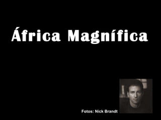 África Magnífica Fotos: Nick Brandt  