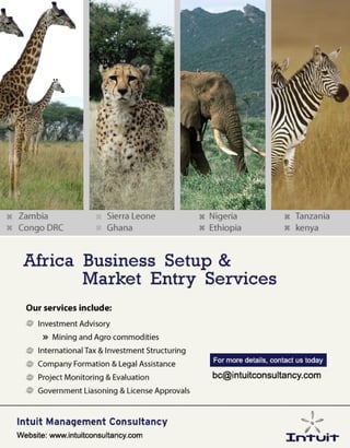 Africa Business Setup Services