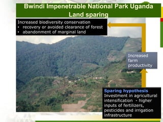 Africa case studies on sharing versus sparing new