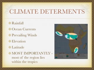 CLIMATE DETERMENTS
Rainfall
Ocean Currents
Prevailing Winds
Elevation
Latitude
MOST IMPORTANTLY -
most of the region lies
within the tropics
 