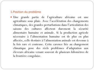1.Position du problème  Une grande partie de l’agriculture africaine est une agriculture sous pluie. Avec l’accélération des changements climatiques, des grandes perturbations dans l’articulation des saisons des cultures affectent durement la sécurité alimentaire humaine et animale. Si la production agricole nécessaire à l’alimentation humaine est de plus en plus affectée, celle destinée à l’alimentation animale est devenue à la fois rare et couteuse. Cette carence liée au changement climatique pose des réels problèmes d’adaptation aux éleveurs africains venant souvent de plusieurs kilomètres de la frontière congolaise. 