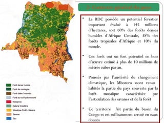 La RDC possède un potentiel forestier important évalué à 145 millions d’hectares, soit 60% des forêts denses humides d’Afrique Centrale, 38% des forêts tropicales d’Afrique et 10% du monde. Ces forêt ont un fort potentiel en bois d’œuvre estimé à plus de 10 millions de mètres cubes par an. Poussés par l’austérité du changement climatique, les Mbororo ssont venus  habités la partie du pays couverte par la forêt mosaïque caractérisée par l’articulation des savanes et de la forêt Ce territoire  fait partie du bassin du Congo et est suffisamment arrosé en eaux douces 2- Contexte général du pays 