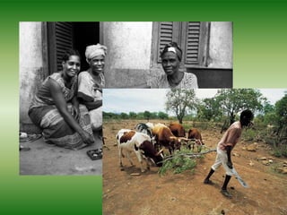 Existe una organización
supranacional, o en vías de
         desarrollo.
 