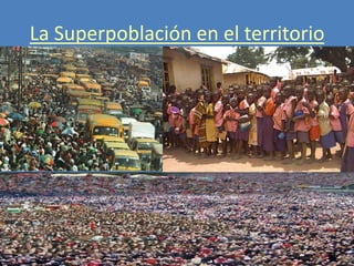 La Superpoblación en el territorio
 