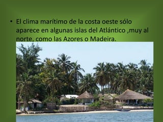 • El clima marítimo de la costa oeste sólo
  aparece en algunas islas del Atlántico ,muy al
  norte, como las Azores o Madeira.
 