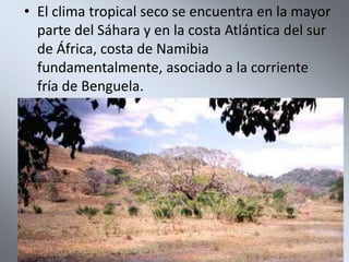 • El clima tropical seco se encuentra en la mayor
  parte del Sáhara y en la costa Atlántica del sur
  de África, costa de Namibia
  fundamentalmente, asociado a la corriente
  fría de Benguela.
 