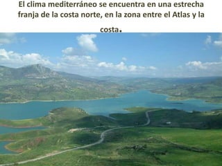 El clima mediterráneo se encuentra en una estrecha
franja de la costa norte, en la zona entre el Atlas y la
                        costa.
 