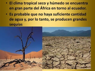 • El clima tropical seco y húmedo se encuentra
  en gran parte del África en torno al ecuador.
• Es probable que no haya suficiente cantidad
  de agua y, por lo tanto, se producen grandes
  sequías
 