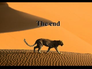 The endThe end
 