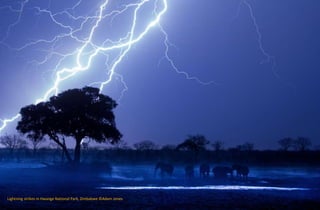 Lightning strikes in Hwange National Park, Zimbabwe ©Adam Jones
 