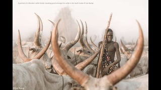 A portrait of a Mundari cattle herder standing guard amongst his cattle in the South Sudan © Joe Buergi
 