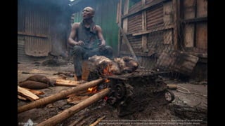 A skinner and cook in Kejetia bushmeat market takes a break from the heat coming off an old Bedford
engine block as the da...