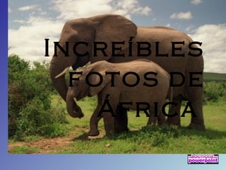 Increíbles
fotos de
África
 