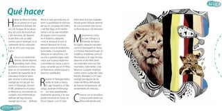 A

demás de lenguas alóctonas como el árabe, el
francés o el inglés cuya
presencia en África se debe a
procesos de conquista y dominación política. Se estima que
en África actualmente existen
unas 1700 lenguas autóctonas.

E

l 60% de los trabajadores
africanos se ocupa de actividades rurales, y el 80%
de lo que África exporta son
materias primas, siendo a su
vez los productos industrializados los que representan la casi
totalidad de sus importaciones.
Solo el 15% está empleado
en el sector industrial, siendo
Egipto, República de Sudáfrica, Túnez y Marruecos los
que poseen casi el total de
dicha actividad. El resultado
es que África es el continente
más pobre del planeta: su PBI
representa tan solo el 2,6% del
total mundial.

3

 