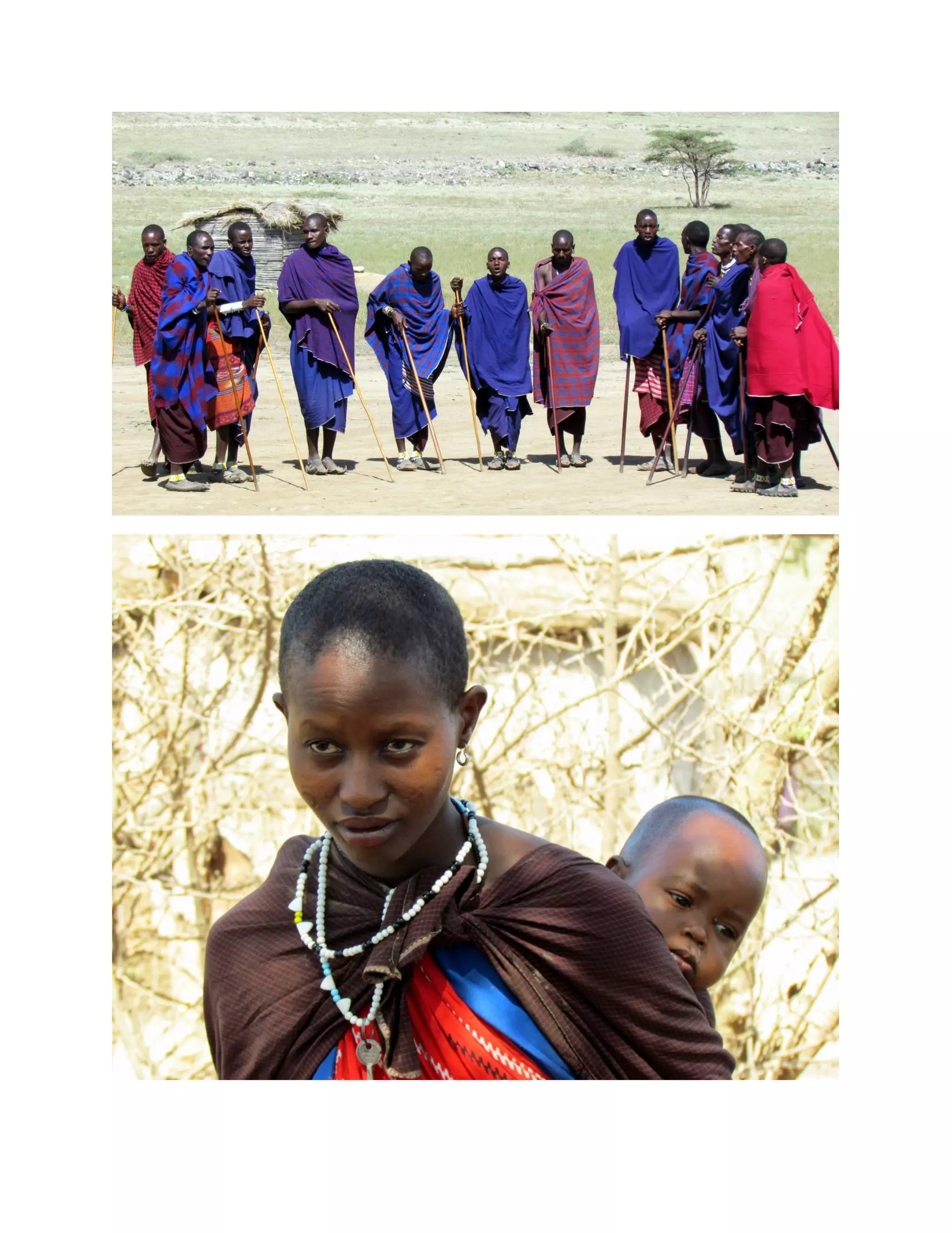 &nbsp;




    &nbsp;

&nbsp;
 