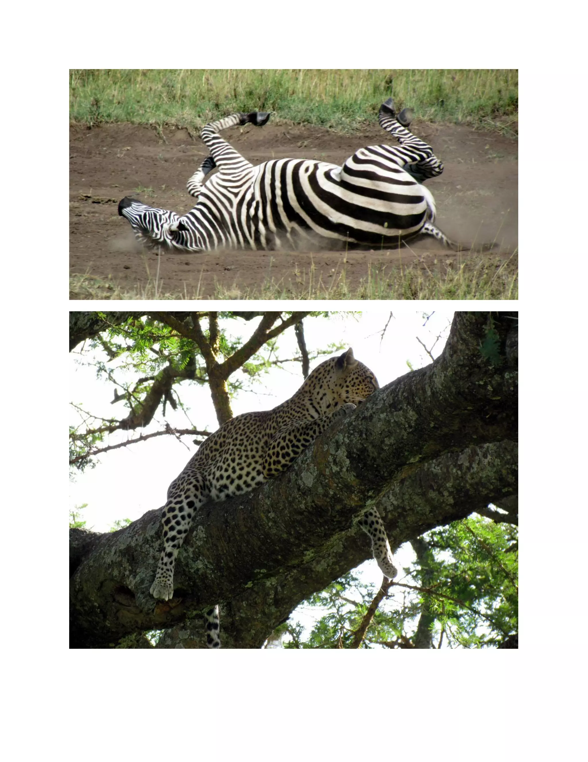 &nbsp;




    &nbsp;

&nbsp;
 