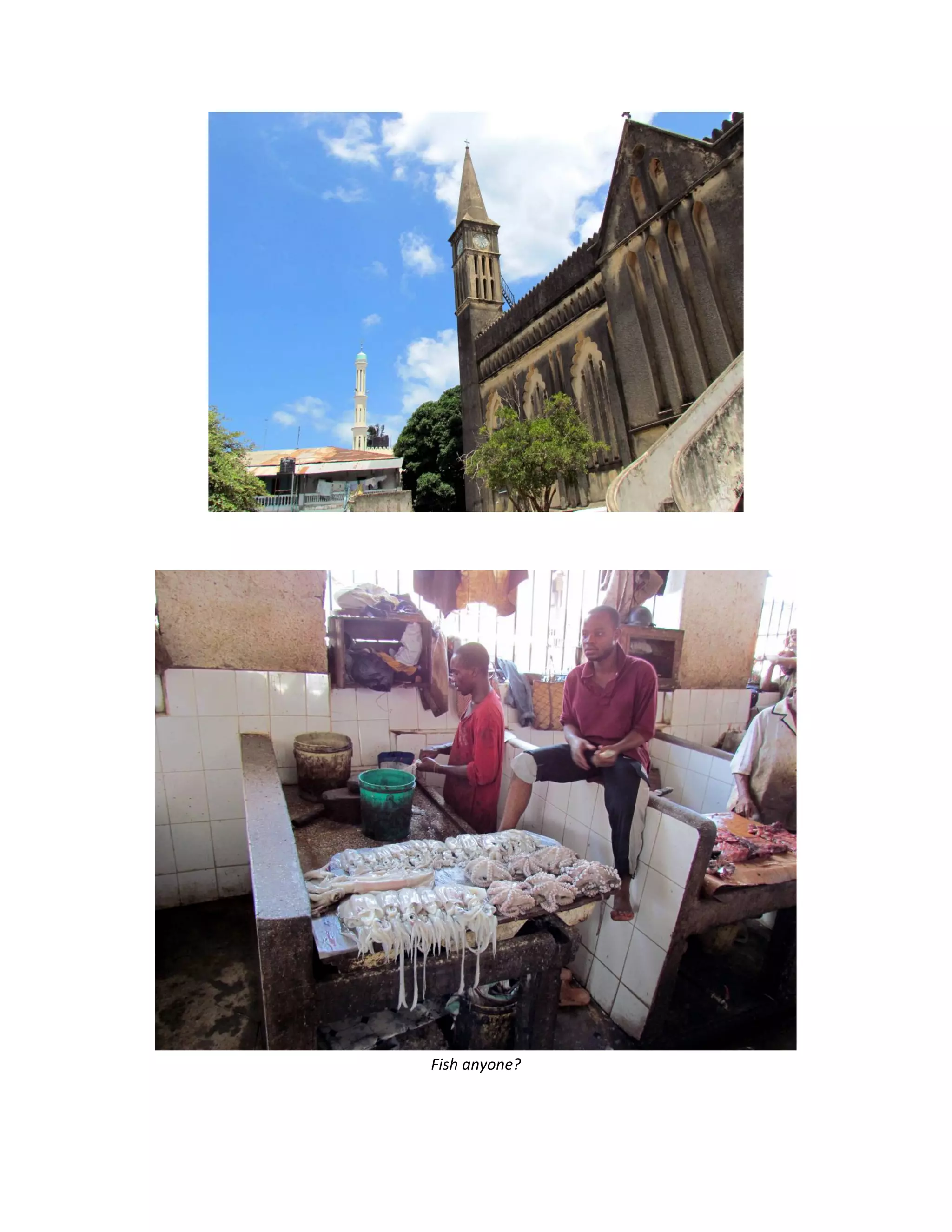 &nbsp;

&nbsp;




                        &nbsp;
    Fish&nbsp;anyone?&nbsp;
 