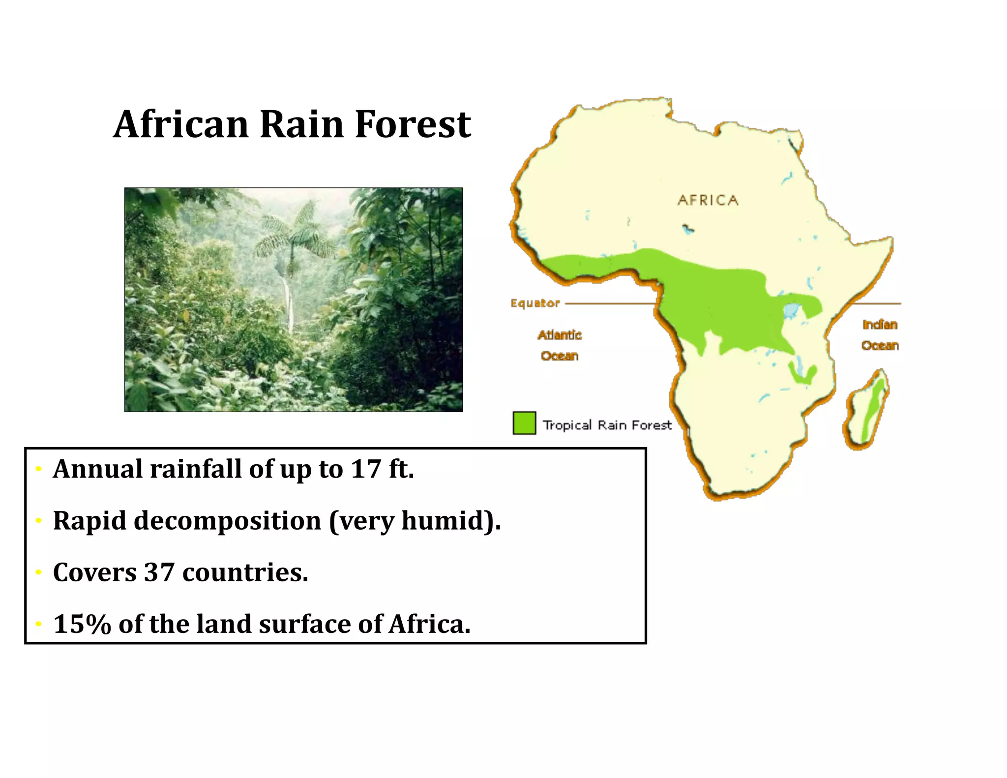 African	
  Rain	
  Forest
•	
  Annual	
  rainfall	
  of	
  up	
  to	
  17	
  ft.	
  
•	
  Rapid	
  decomposition	
  (very	
  humid).	
  
•	
  Covers	
  37	
  countries.	
  
•	
  15%	
  of	
  the	
  land	
  surface	
  of	
  Africa.
 