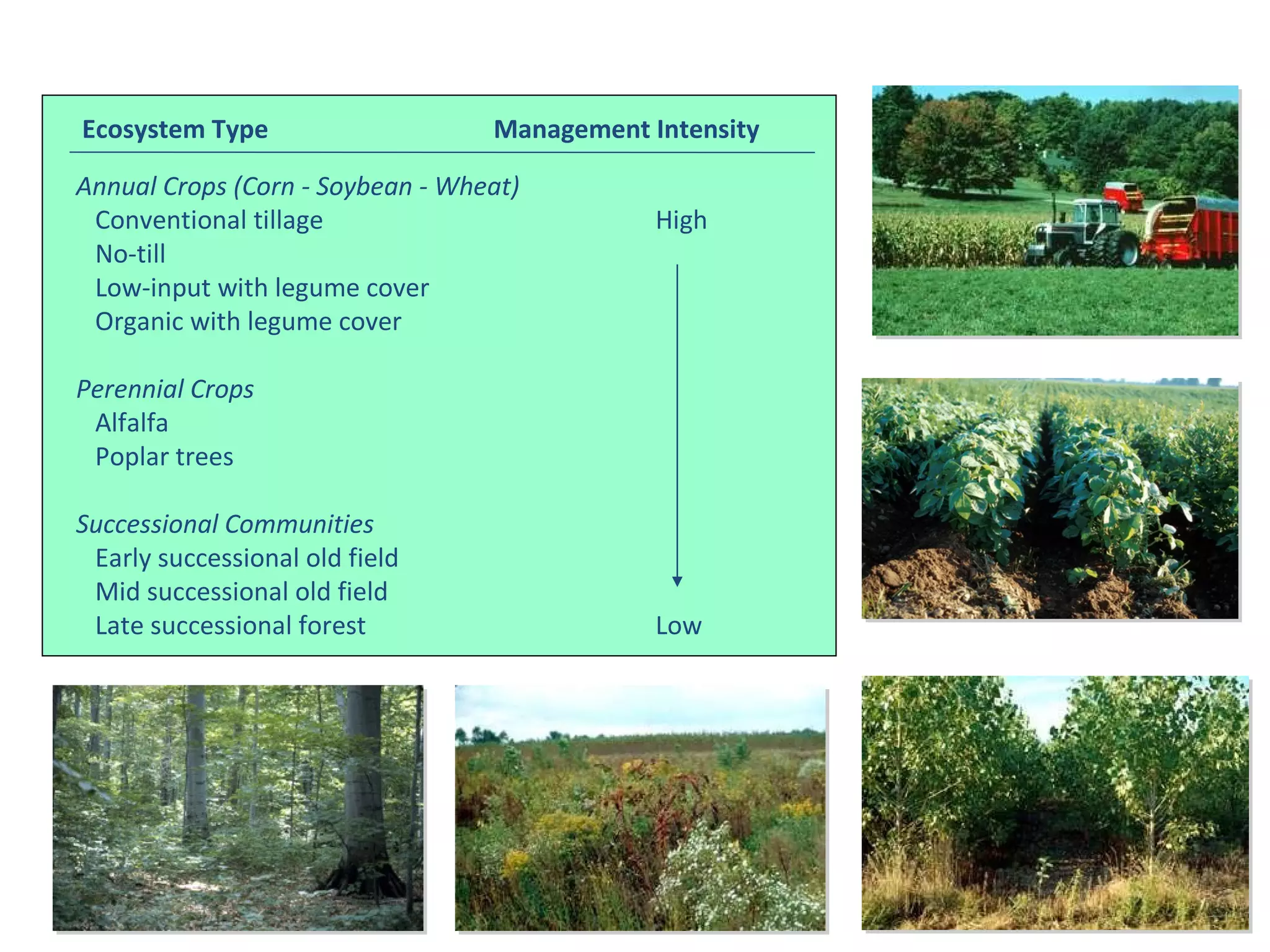 KBS Long-Term Ecological Research (LTER) Site Annual Crops (Corn - Soybean - Wheat)   Conventional tillage High   No-till   Low-input with legume cover   Organic with legume cover Perennial Crops   Alfalfa   Poplar trees Successional Communities   Early successional old field   Mid successional old field   Late successional forest Low Ecosystem Type Management Intensity 