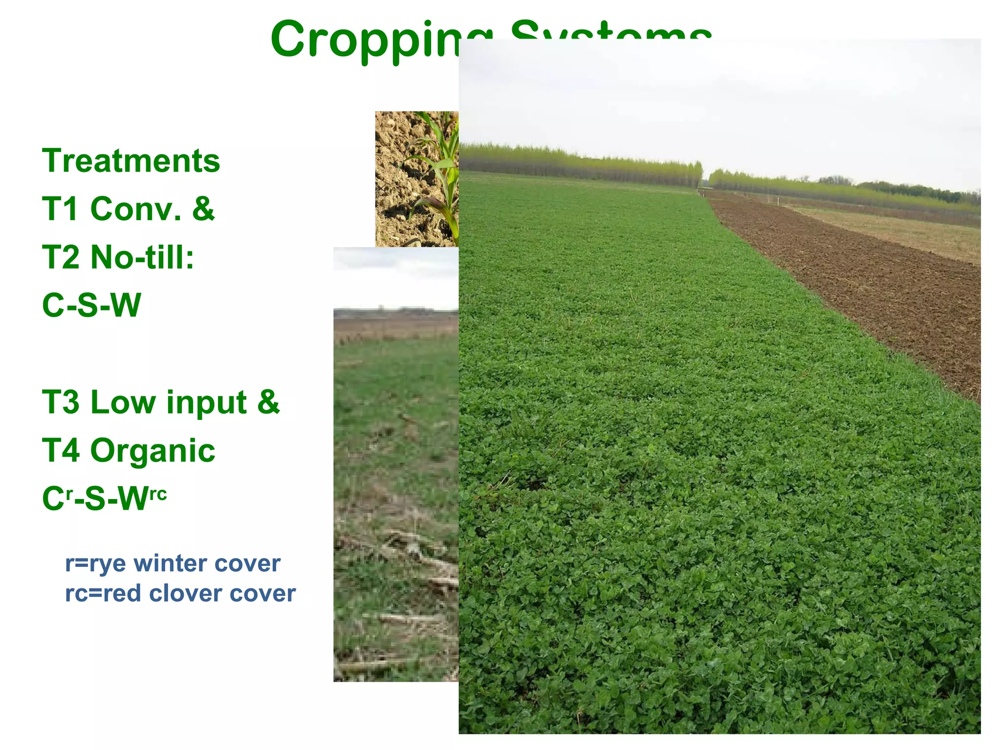 Cropping Systems Treatments T1 Conv. & T2 No-till: C-S-W T3 Low input & T4 Organic C r -S-W rc r=rye winter cover rc=red clover cover 