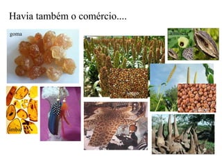 Havia também o comércio....
goma
sorgo
milhete
almíscar
âmbar
 