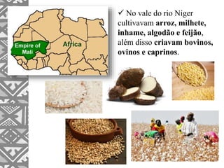  No vale do rio Níger
cultivavam arroz, milhete,
inhame, algodão e feijão,
além disso criavam bovinos,
ovinos e caprinos.
 