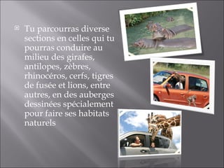 Tu parcourras diverse sections en celles qui tu pourras conduire au milieu des girafes, antilopes, zèbres, rhinocéros, cerfs, tigres de fusée et lions, entre autres, en des auberges dessinées spécialement pour faire ses habitats naturels 