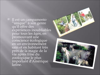 Il est un campamento “unique” à son genre qu'il offre des expériences inoubliables pour tous les âges, en promouvant une conscience écologique en un environnement sain et en habitant très près de la magie de la vie après frise du zoologique le plus important d'Amérique latine.  