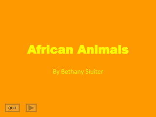 African Animals By Bethany Sluiter QUIT 