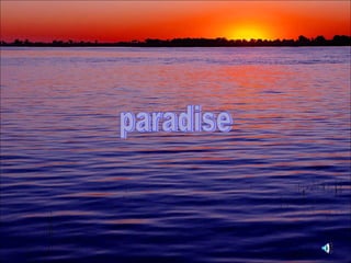 paradise 