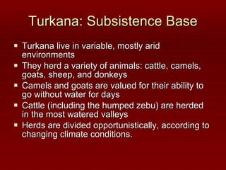 Turkana: Subsistence Base Turkana live in variable, mostly arid environments They herd a variety of animals: cattle, camels, goats, sheep, and donkeys Camels and goats are valued for their ability to go without water for days Cattle (including the humped zebu) are herded in the most watered valleys Herds are divided opportunistically, according to changing climate conditions. 