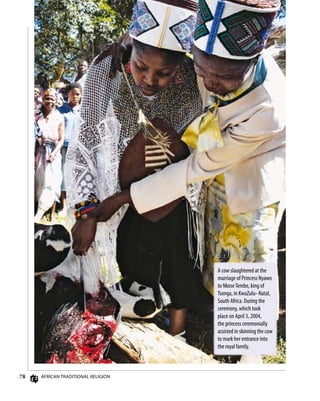 8 AfricAn TrAdiTionAl religion
A cow slaughtered at the
marriage of Princess Nyawo
to NkoseTembe, king of
Tsonga, in KwaZulu–Natal,
South Africa. During the
ceremony, which took
place on April 3, 2004,
the princess ceremonially
assisted in skinning the cow
to mark her entrance into
the royal family.
 