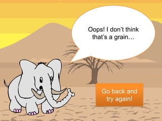 Oops! I don’t think
 that’s a grain…




     Go back and
      try again!
 