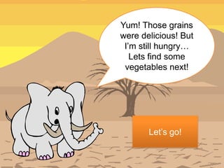Yum! Those grains
were delicious! But
 I’m still hungry…
   Lets find some
 vegetables next!




       Let’s go!
 