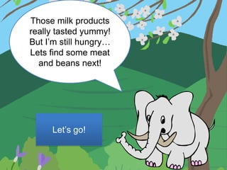 Those milk products
really tasted yummy!
But I’m still hungry…
Lets find some meat
  and beans next!




     Let’s go!
 