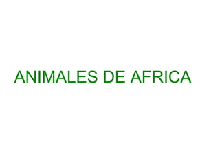 ANIMALES DE AFRICA

 